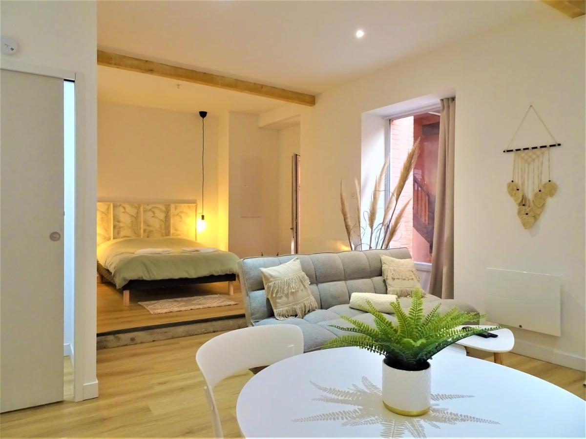 Sublime Cocon Pour 2 Aux Portes De La Place Nationale - Proximite Immediate Toutes Commodites Et Sites D'Interets Daire Montauban Dış mekan fotoğraf